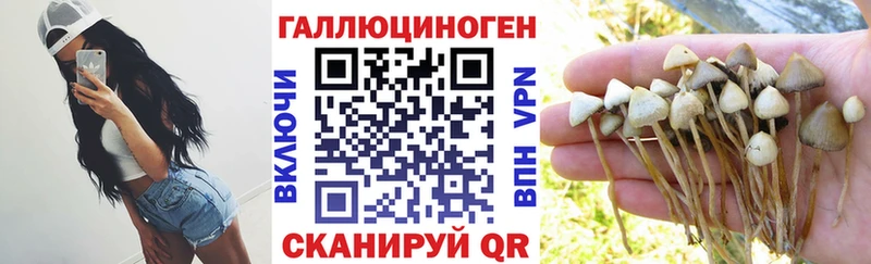 Купить где  Лиски  Псилоцибиновые грибы Magic Shrooms 